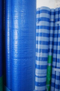 plastic-blue sheet