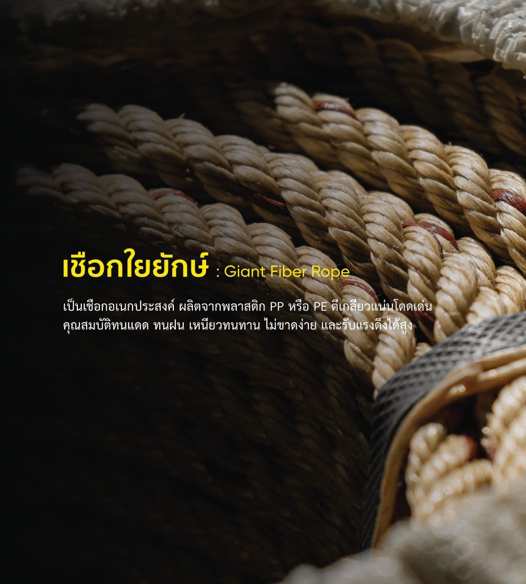 เชือกใยยักษ์