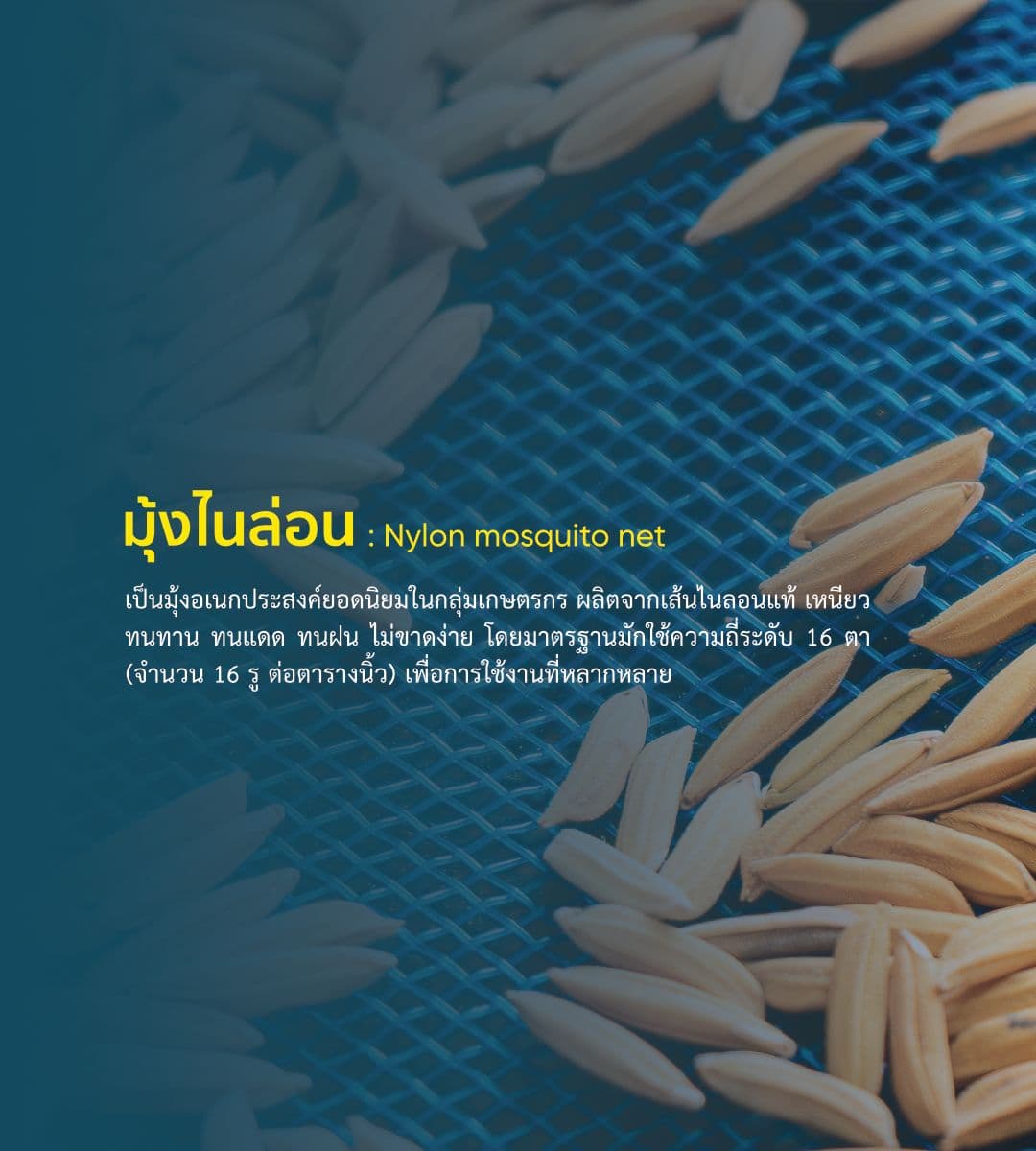 มุ้งไนล่อน